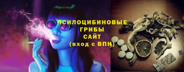твердый Зеленокумск