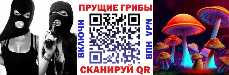 Купить где  Кулебаки  Псилоцибиновые грибы MAGIC MUSHROOMS 